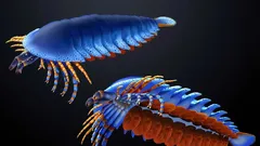 Fosila descoperită în statul Utah mută apariția chelicerelor — colții caracteristici păianjenilor și scorpionilor — cu 20 de milioane de ani în urmă.