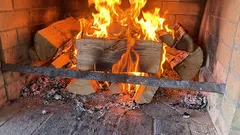 Ce esențe de lemn nu trebuie arse în casă: aceste esențe nu degajă căldură