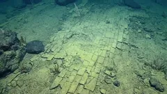 „Drumul de cărămidă galbenă” din zonele de adâncime ale oceanului trezește uimire — explicația oferită dă pentru o clipă impresia că fundul mării este ceva cu totul nou.